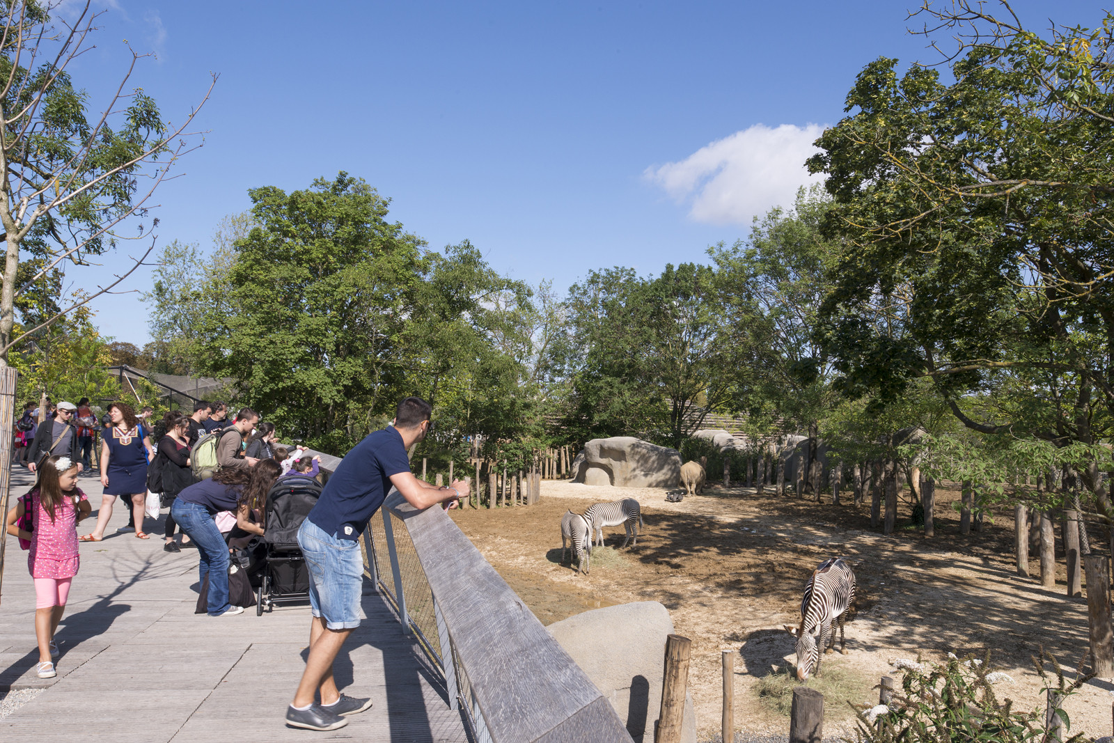 18-PARIS_Zoo ©Martin Argyroglo (16)-5fd74c1bd7374.jpeg